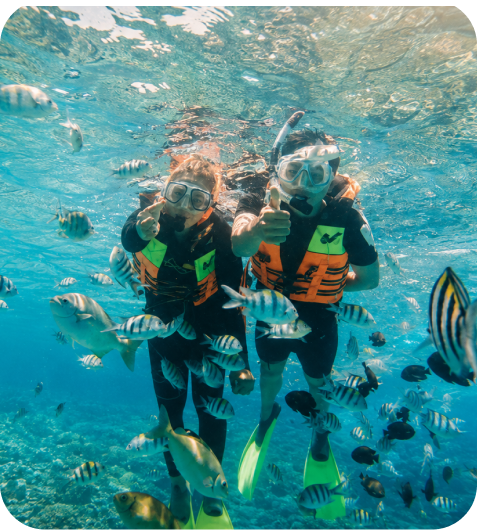 Snorkelers among reef fish